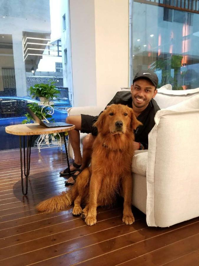 Hotel 張家界武陵源北岸輕奢客棧 森林公園店 Zhangjiajie Zewnętrze zdjęcie